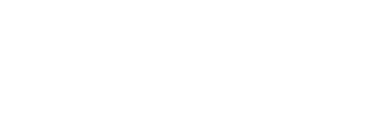 THE GRID SYSTEM